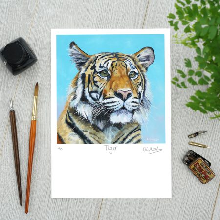 Tiger print art by Clare Willcocks