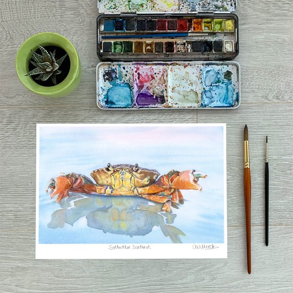 A4 watercolour crab print by Clare Willcocks - ocean art